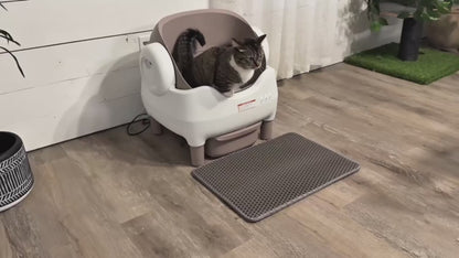 Legacy Auto-Scooper™